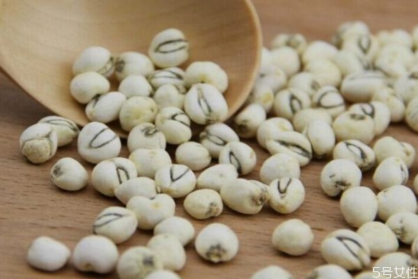 貝母的種類有什么呢 貝母有什么功效呢 貝母的種類有什么呢 貝母有什么功效呢