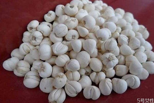 貝母的種類有什么呢 貝母有什么功效呢 貝母的種類有什么呢 貝母有什么功效呢