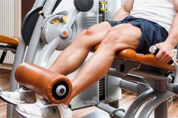 坐姿腿屈伸傷膝蓋嗎 坐姿腿屈伸練哪里 坐姿腿屈伸傷膝蓋嗎 坐姿腿屈伸練哪里