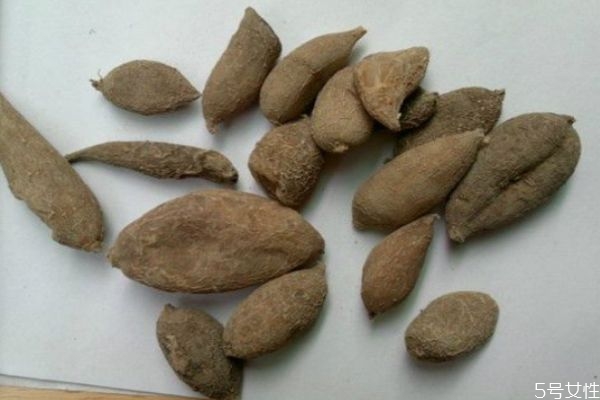 什么是廣郁金呢 廣郁金有什么作用呢 什么是廣郁金呢 廣郁金有什么作用呢