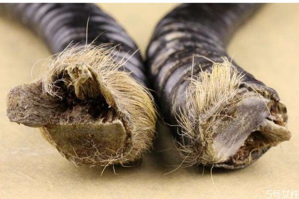 山羊角有什么營養(yǎng)價值呢 山羊角有什么作用呢 山羊角有什么營養(yǎng)價值呢 山羊角有什么作用呢