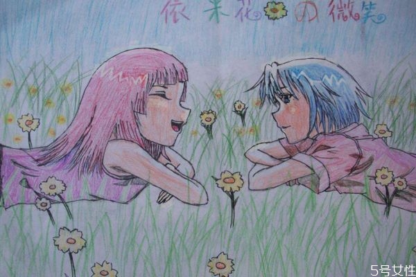 依米花是一種什么植物呢 依米花有什么作用呢 依米花是一種什么植物呢 依米花有什么作用呢