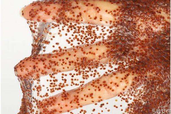 海藻面膜的使用步驟 敷海藻面膜技巧 海藻面膜的使用步驟 敷海藻面膜技巧