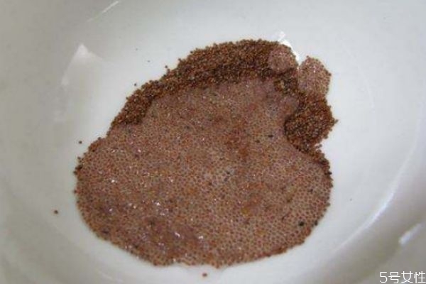 海藻面膜的使用步驟 敷海藻面膜技巧 海藻面膜的使用步驟 敷海藻面膜技巧