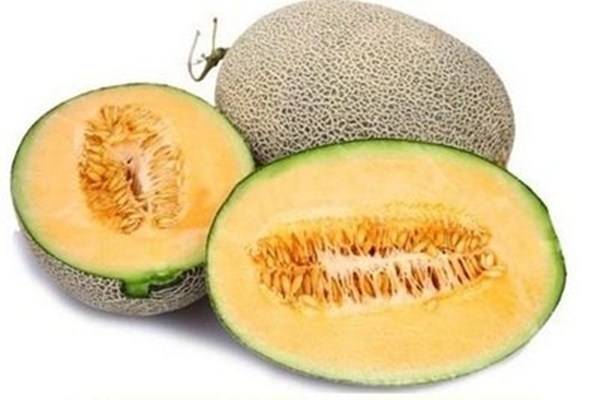 哈密瓜外面發(fā)霉了還能吃嗎 吃了發(fā)霉的哈密瓜會(huì)怎樣 哈密瓜外面發(fā)霉了還能吃嗎 吃了發(fā)霉的哈密瓜會(huì)怎樣