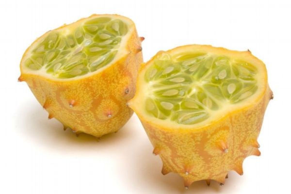 什么是刺角瓜呢 刺角瓜有什么作用呢 什么是刺角瓜呢 刺角瓜有什么作用呢