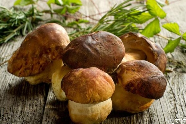 吃香菇有什么注意的嗎 孕婦可以吃香菇嗎 吃香菇有什么注意的嗎 孕婦可以吃香菇嗎