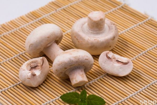 口蘑應(yīng)該怎么挑選呢 口蘑的保質(zhì)期大概是多久呢 口蘑應(yīng)該怎么挑選呢 口蘑的保質(zhì)期大概是多久呢