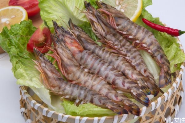 竹節(jié)蝦和九節(jié)蝦有什么不同 九節(jié)蝦和竹節(jié)蝦區(qū)別 竹節(jié)蝦和九節(jié)蝦有什么不同 九節(jié)蝦和竹節(jié)蝦區(qū)別