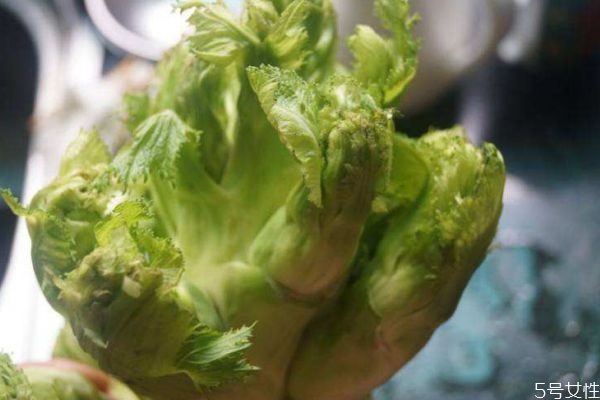 什么是兒菜呢 兒菜有什么營養(yǎng)價值呢 什么是兒菜呢 兒菜有什么營養(yǎng)價值呢