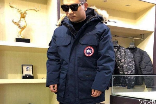 鵝絨絲和鵝絨的差別是什么 白鴨絨和白鵝絨的區(qū)別 鵝絨絲和鵝絨的差別是什么 白鴨絨和白鵝絨的區(qū)別