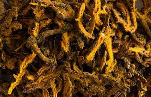 黃連可以直接泡水喝嗎 黃連泡水喝為什么會拉肚子 黃連可以直接泡水喝嗎 黃連泡水喝為什么會拉肚子