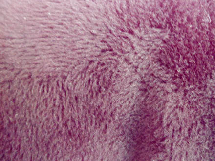 不倒絨好嗎 不倒絨的優(yōu)點有哪些 不倒絨好嗎 不倒絨的優(yōu)點有哪些