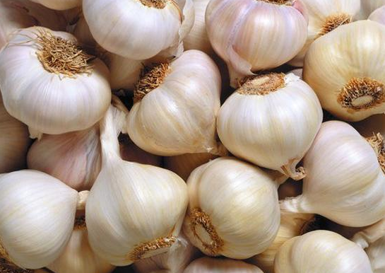 每天應(yīng)該吃多少大蒜 吃多了有什么壞處 每天應(yīng)該吃多少大蒜 吃多了有什么壞處