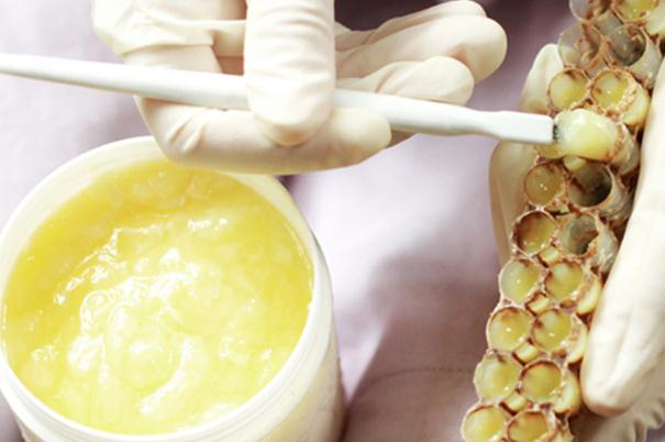 蜂王漿的作用和功效 蜂王漿的正確食用方法 蜂王漿的作用和功效 蜂王漿的正確食用方法