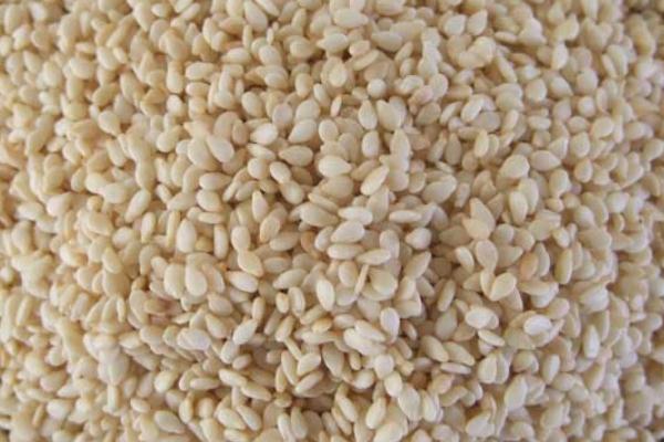 白芝麻會上火嗎 白芝麻會發(fā)胖嗎