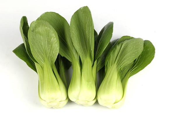 上海青能放冰箱嗎 上海青可以常溫保存嗎 上海青能放冰箱嗎 上海青可以常溫保存嗎