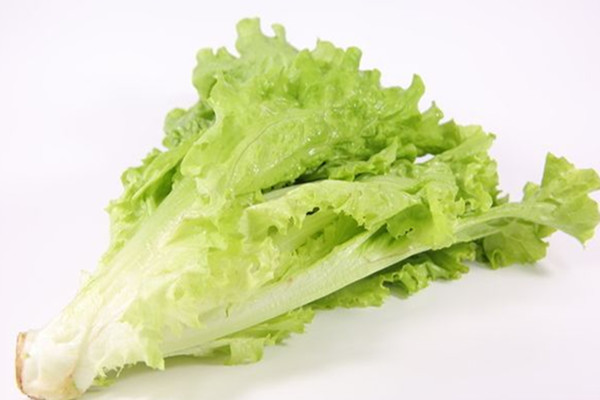 生菜能和西紅柿一起吃嗎 生菜能和黃瓜一起吃嗎 生菜能和西紅柿一起吃嗎 生菜能和黃瓜一起吃嗎