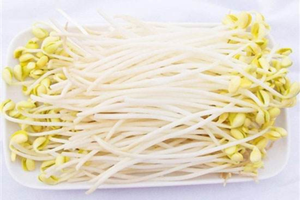 黃豆芽會(huì)引起脹氣嗎 黃豆芽吃了脹氣怎么辦 黃豆芽會(huì)引起脹氣嗎 黃豆芽吃了脹氣怎么辦