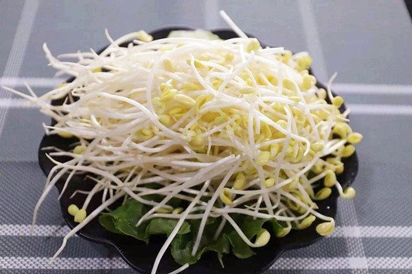 黃豆芽吃了會上火嗎 黃豆芽吃了會回奶嗎 黃豆芽吃了會上火嗎 黃豆芽吃了會回奶嗎