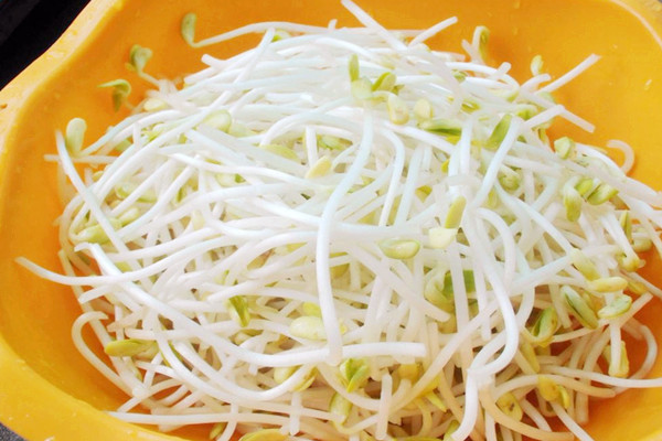 黃豆芽的嘌呤含量高嗎 黃豆芽對(duì)身體有什么好處 黃豆芽的嘌呤含量高嗎 黃豆芽對(duì)身體有什么好處