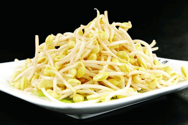 黃豆芽的適宜人群 黃豆芽不適合哪些人吃 黃豆芽的適宜人群 黃豆芽不適合哪些人吃