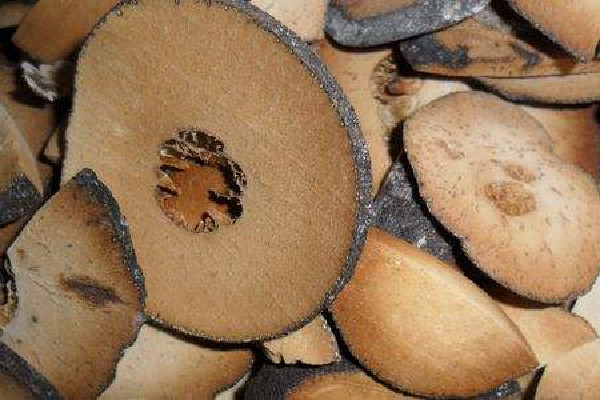 化橘紅是什么東西 化橘紅是中藥嗎 化橘紅是什么東西 化橘紅是中藥嗎