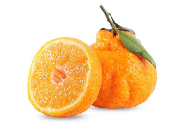 丑橘對(duì)人體有什么好處 胃炎能吃丑橘嗎 丑橘對(duì)人體有什么好處 胃炎能吃丑橘嗎