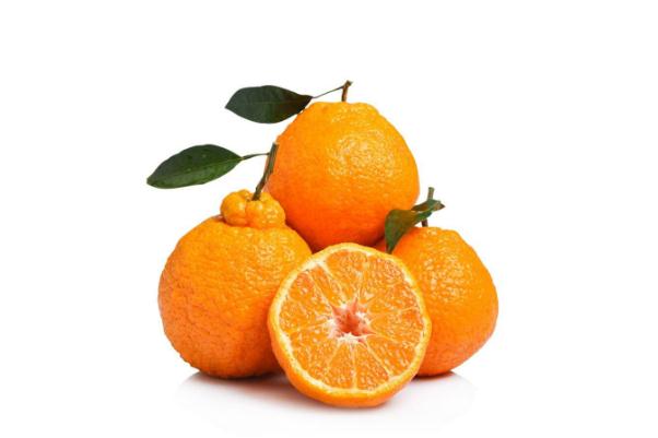 丑橘可以多吃嗎 丑橘可以和牛奶一起吃嗎 丑橘可以多吃嗎 丑橘可以和牛奶一起吃嗎