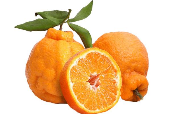 丑橘對(duì)人體有什么好處 胃炎能吃丑橘嗎 丑橘對(duì)人體有什么好處 胃炎能吃丑橘嗎