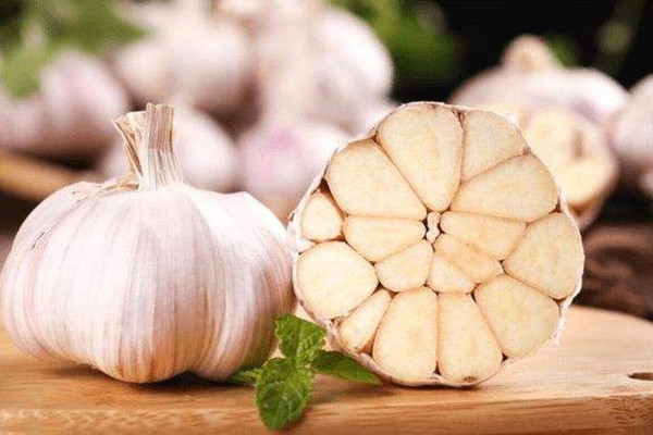 大蒜怎么去辣味 大蒜發(fā)芽了能不能吃 大蒜怎么去辣味 大蒜發(fā)芽了能不能吃