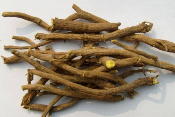 黃芩泡水喝有什么用處 黃芩泡水多久喝一次 黃芩泡水喝有什么用處 黃芩泡水多久喝一次