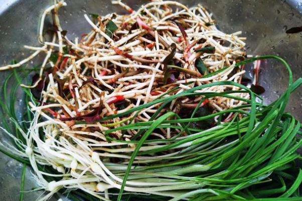 折耳根是發(fā)物嗎 折耳根是茅草根嗎 折耳根是發(fā)物嗎 折耳根是茅草根嗎