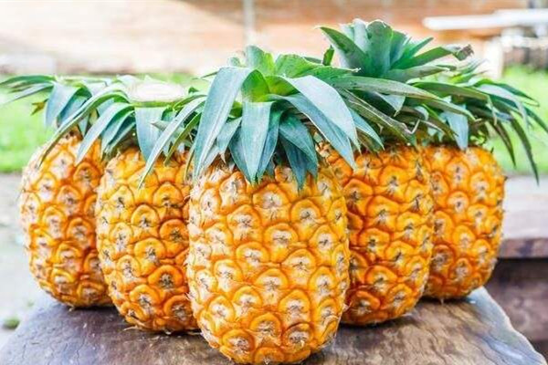 菠蘿泡多久鹽水可以吃 菠蘿泡鹽水一晚上還能吃嗎 菠蘿泡多久鹽水可以吃 菠蘿泡鹽水一晚上還能吃嗎