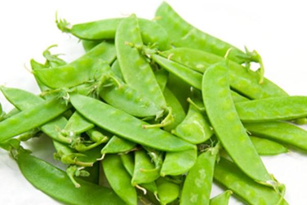 荷蘭豆不熟有毒嗎 荷蘭豆煮多久才熟 荷蘭豆不熟有毒嗎 荷蘭豆煮多久才熟