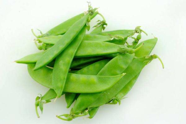 荷蘭豆的熱量 荷蘭豆的原產(chǎn)地是哪里 荷蘭豆的熱量 荷蘭豆的原產(chǎn)地是哪里