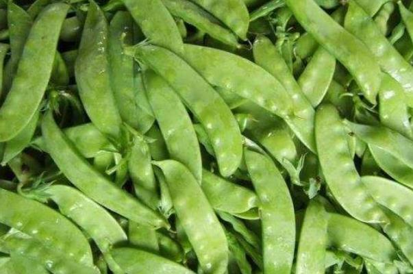 荷蘭豆的熱量 荷蘭豆的原產(chǎn)地是哪里 荷蘭豆的熱量 荷蘭豆的原產(chǎn)地是哪里