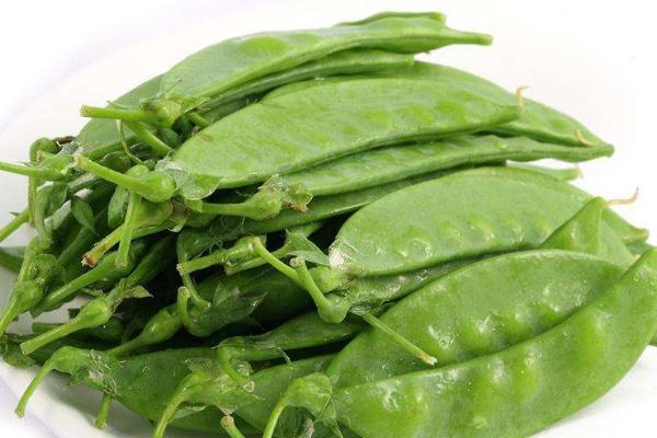 荷蘭豆是什么季節(jié)的菜 荷蘭豆是脆的熟了嗎 荷蘭豆是什么季節(jié)的菜 荷蘭豆是脆的熟了嗎