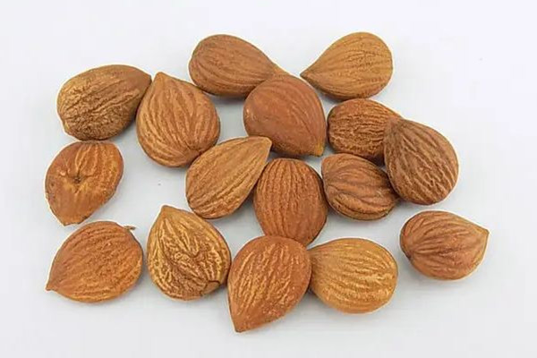 苦杏仁吃多了會死人嗎 苦杏仁吃多了會怎樣 苦杏仁吃多了會死人嗎 苦杏仁吃多了會怎樣