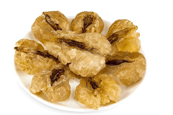 雪蛤是什么東西 雪蛤有毒嗎 雪蛤是什么東西 雪蛤有毒嗎