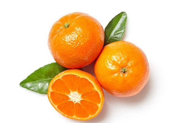 橙子有哪些品種 橙子什么樣的好吃 橙子有哪些品種 橙子什么樣的好吃